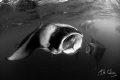 1/50 @f5.6
I love Mantas. This shot was taken whilst snorkeling with them at Helengeli Thila. I made it B&W as I think Mantas lend themselves beautifully to this and it also helps get rid of some of the cloudiness of the water.