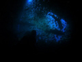 Exit of Fish-Rock Cave. Diver silouette with sharks in background.