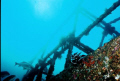 Wreck of the Almajane off Atlantis resort. Nikonos V 20mm lense.  It was the one really sunny day we had.