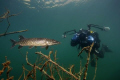 My friend shooting a pike and myself on a small quarry in CZ...