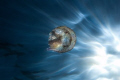 Jellyfish and the sun