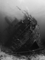 Majestic Giannis D
Top Wreck in Red Sea