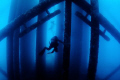 Oil Rig dive off the coast of Southern California.