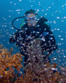 Diver surrounded by a school of glass fish at Mueras Reef in East Borneo.