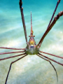 CONEHEAD /Arrow crab