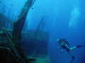 The wreck of the Faroud off of  Zurrieq.
Depth 36 metres
Olympus C5000z
F2.8
1/250
ISO 160