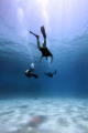 divers
