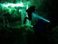 Diving in Akumal, Mexico in a Cenote at Hidden Worlds