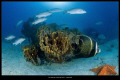 Los Roques_Venezuela