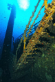 Photos take on Milford Haven wreck near Genoa.
I used my D700 with Hugyfot housing 
lens Nikon 14-24 f,2,8 
Strobe Seaflash 200 Seacam and Midi Subtronic
Dive on ECCR Megalodon