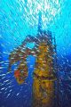 Milford Haven Wreck in Genoa Italy
I use my D700 with 14-24 f2,8   f10 1/30
Hugyfot Housing with Subtronic Gamma