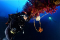 Take on Donator /Proper Schiaffino Wreck in Porquerolles Var France.
Nikon D700 with 14-24 f2,8 
Hugyfot Housing
Subtronic Gamma strobes
14mm, f11, 1/40

