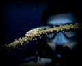 I shooted this by accident when My Buddy wanted to prepare position to photo this Goby Fish on July 24th,2011 at the Pramuka Island with my Canon G12 and Strobes