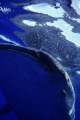 Close-up whaleshark