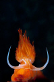 underwater flame