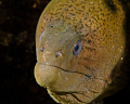old man Moray. canon G10
