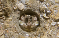 Perfect Hole