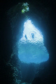 Freediving Swallows Cave, Vava'u.
Canon 550D, Tokina 10-17mm, Aquatica Housing and 4