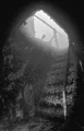 Stairs leading to the bridge deck on the port side of the Wolf Islander sunk near Kingston, Ontario. Nikonos V, 12mm Sea & Sea lens, 800 ASA film, manual exposure.