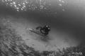 Rebreather diver infront of barracuda