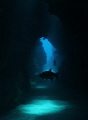 caves with tarpon