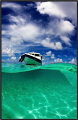 I send you  not processed file only converted in JPEG.  For the publication I would like to send the shown file.