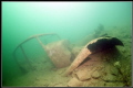 Old Mercedes in the Lake Attersee....
