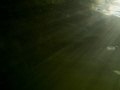 rays from the son hiting my canon g12 in a freshwater lake