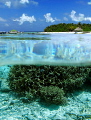 
Eriyadu Island Resort 3* 
 
