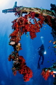 Wreck dive