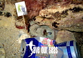 no pollution - save our seas