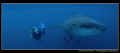 The encounter ?