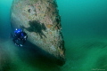 A Shadow's Diver...