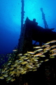 The shipwreck 