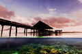 Pier at Kri Eco Resort