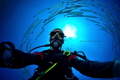 Self portrait with Barracudas
Shark Yolanda reef
Self portrait with Barracudas
Shark Yolanda reef