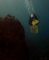 Dive leader. Kohala Divers. Dive leader. Kohala Divers.