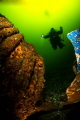 A rare day of amazing visability and clarity in the emerald waters of British Columbia Canada