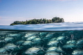 Sipadan island and its characteristic underwater world. Nikon D800, Nikkor 16-35 lens.