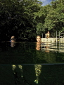 Relaxing time in Palau Jellyfish Lake Relaxing time in Palau Jellyfish Lake