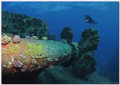 Wreck of the AL KAHFIN Safaga Egypt Wreck of the AL KAHFIN Safaga Egypt