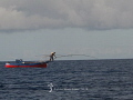 Peto fisherman on EL HIERRO Canary Islands.
Since no industrial fishery is allowed and the authorities support sustainable fisheries fish populations are still healthy. By using traditional methods overfishing doesn t seem to be Peto fisherman on EL HIERRO Canary Islands.
Since no industrial fishery is allowed and the authorities support sustainable fisheries fish populations are still healthy. By using traditional methods overfishing doesn t seem to be