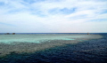EAST JACKSON REEF EAST JACKSON REEF