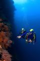 Father and daughter on a Wakatobi wall dive
