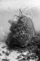 The Giannis D sank with its cargo of timber at Sha ab Abu Nuhas north of Hurghada. 19 April 1983.
The Giannis D sank with its cargo of timber at Sha ab Abu Nuhas north of Hurghada. 19 April 1983.