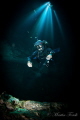The Diver The Diver