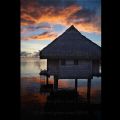 Moorea, French Polynesia. Sunrise, last day before Tahiti from the pool.