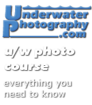 UnderwaterPhotography.com 