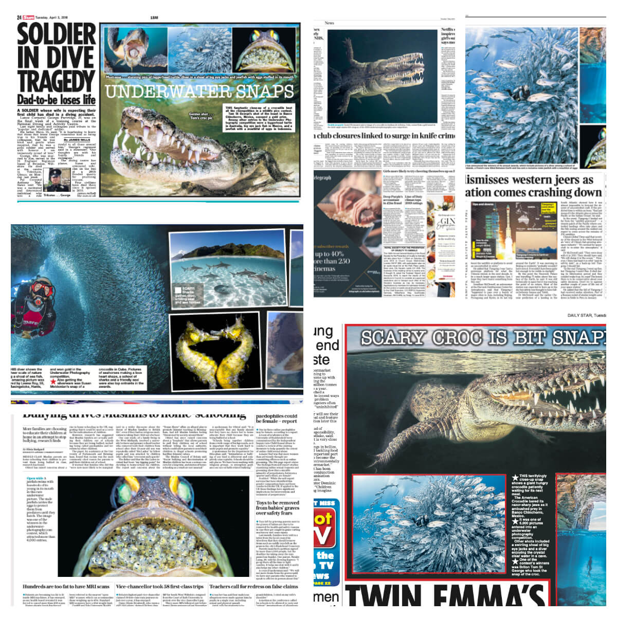 Underwater Photography in the News