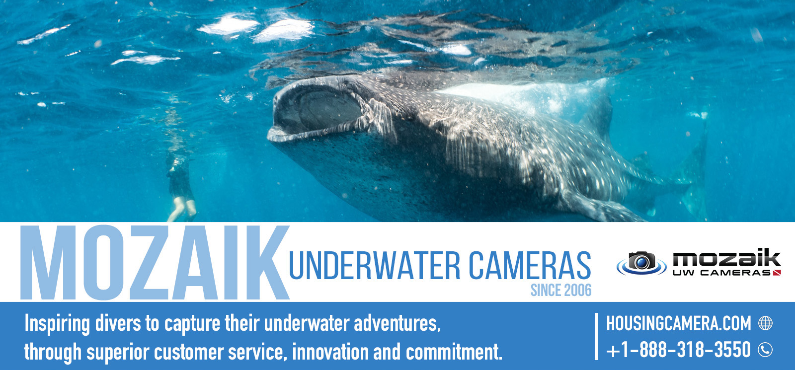 mozaik underwater cameras